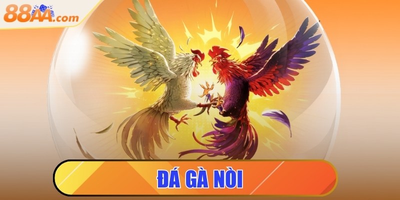 Đá gà nòi - Trải nghiệm những trận chọi kê đầy máu lửa